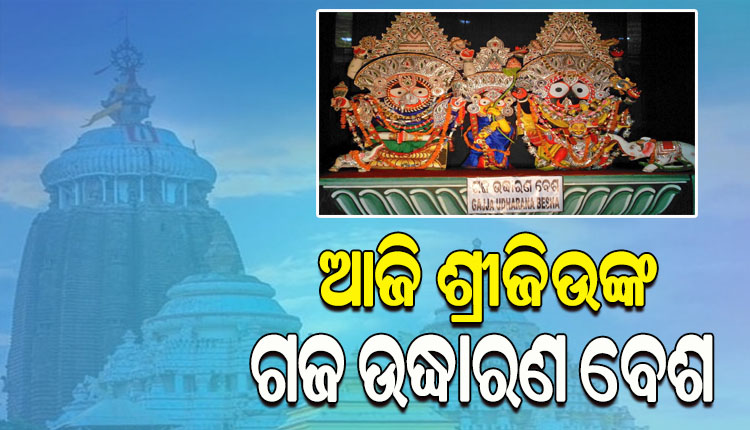 ପବିତ୍ର ମାଘ ପୂର୍ଣ୍ଣମୀ ଅବସରରେ ଆଜି ଶ୍ରୀମନ୍ଦିରରେ ଶ୍ରୀଜୀଉମାନଙ୍କ ଗଜ ଉଦ୍ଧାରଣ ବେଶ