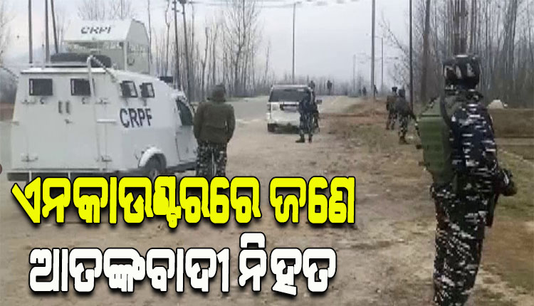 ଅବନ୍ତିପୁରାରେ ସୁରକ୍ଷାକର୍ମୀ ଓ ଆତଙ୍କବାଦୀ ମୁହାଁମୁହିଁ, ଏନକାଉଣ୍ଟରରେ ଜଣେ ଆତଙ୍କବାଦୀ ନିହତ