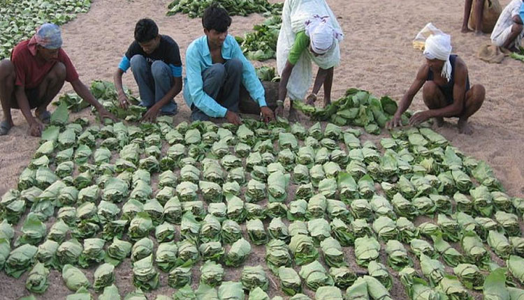 ‘ସକାଳ’ ପ୍ରଭାବ: ଟିଟିଲାଗଡ଼ କେନ୍ଦୁପତ୍ର କର୍ମଚାରୀଙ୍କ ଅର୍ଥ ଅନିୟମିତତା ଘଟଣାର କାର୍ଯ୍ୟାନୁଷ୍ଠାନ ରିପୋର୍ଟ ଦେବାକୁ ଡ଼ିଏଫଓଙ୍କୁ ନିର୍ଦ୍ଦେଶ