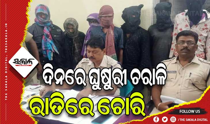 ଦିନରେ ଘୁଷୁରୀ ଚରାଳି, ରାତିରେ ଚୋରି: ଦୁଇ ମାଷ୍ଟର ମାଇଣ୍ଡଙ୍କ ସମେତ ୭ ଗିରଫ
