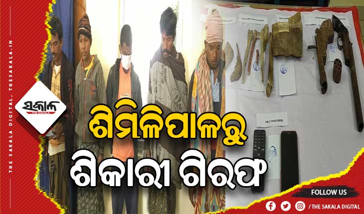 ଶିମିଳିପାଳରୁ ୫ ଶିକାରୀ ଗିରଫ: ବନ୍ୟଜନ୍ତୁ ଜୀବାଂଶ, ବନ୍ଧୁକ ଓ ମୋବାଇଲ ଫୋନ ଜବତ