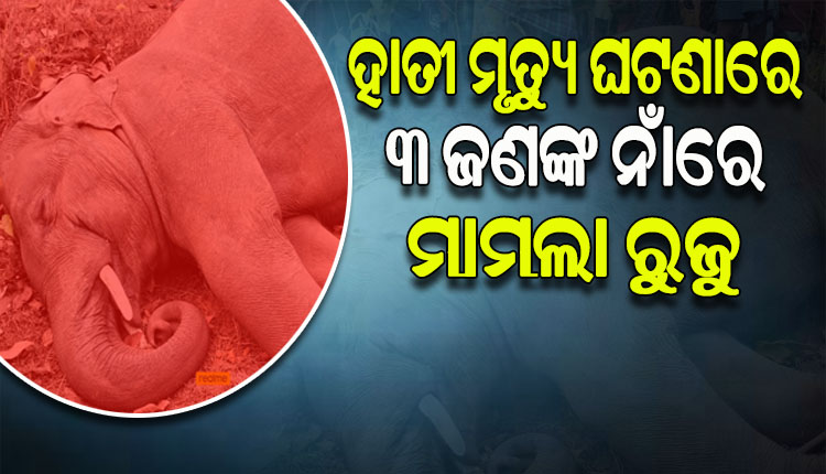 କେନ୍ଦୁଝର ବନଖଣ୍ଡ ଚମ୍ପୁଆ ରେଞ୍ଜରେ ବିଦ୍ୟୁତ ତାର ଲାଗି ହାତୀ ମୃତ୍ୟୁ ଘଟଣାରେ ବିଦ୍ୟୁତ ବିଭାଗର ୩ ଜଣଙ୍କ ନାଁରେ ମାମଲା ରୁଜୁ