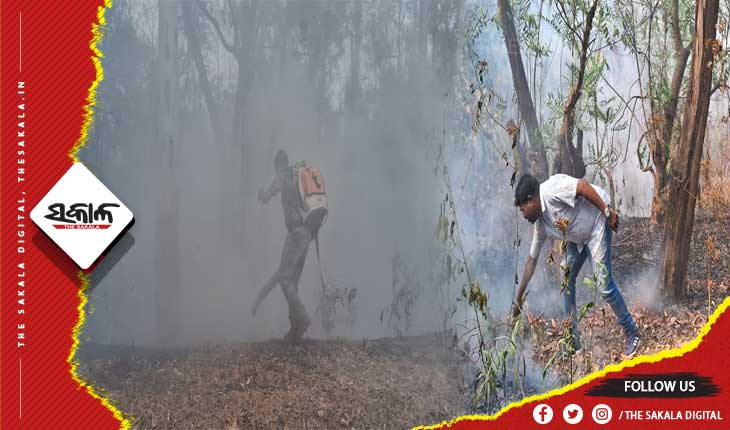 ଜଙ୍ଗଲରେ ନିଆଁ ଲାଗି ଗାଁକୁ ବ୍ୟାପିବା ଆଶଙ୍କା, ନିଆଁ ଲିଭାରେ ଅଗ୍ନିଶମ ବାହିନୀ ଓ ସ୍ଥାନୀୟଲୋକେ ସାମିଲ