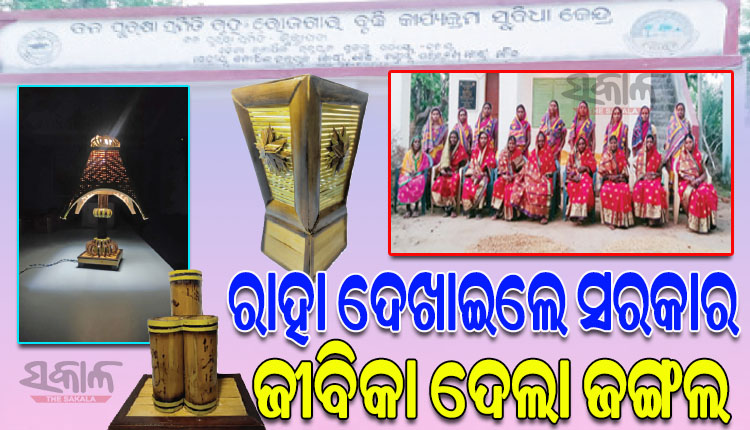 ମିଶନ ଶକ୍ତି ଜରିଆରେ ଜାତୀୟ ଏବଂ ଅନ୍ତର୍ଜାତୀୟ ବଜାରରେ ପହଞ୍ଚିପାରିଛି ବୌଦ୍ଧ ଜିଲ୍ଲା ଏସଏଚଜି ମହିଳାମାନଙ୍କ ଦ୍ୱାରା ପ୍ରସ୍ତୁତ ଜଙ୍ଗଲଜାତ ସାମଗ୍ରୀ