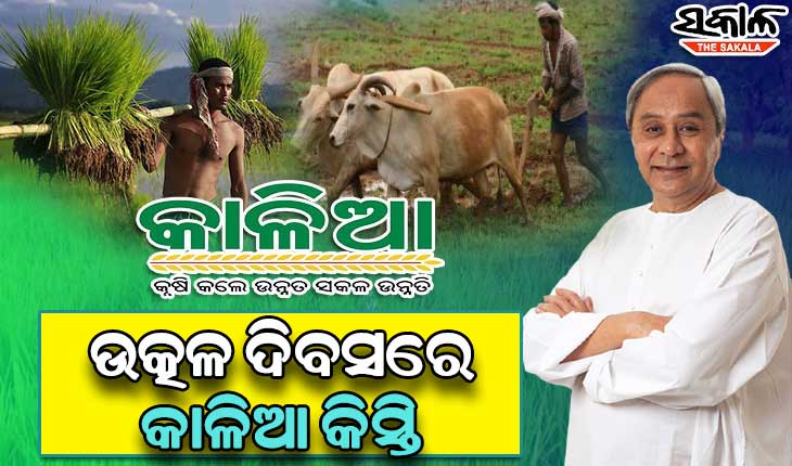 ଉତ୍କଳ ଦିବସରେ ଚାଷୀଙ୍କୁ ‘କାଳିଆ’ କିସ୍ତି ଅର୍ଥ ବଣ୍ଟନ କରିବେ ମୁଖ୍ୟମନ୍ତ୍ରୀ