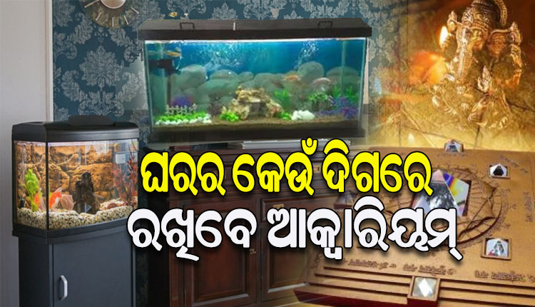 ଘରର ଏହି ଦିଗରେ ରଖନ୍ତୁ ଆକ୍ବାରିୟମ୍‌, ଐଶ୍ୱର୍ଯ୍ୟ ବୃଦ୍ଧି ହେବା ସହ ବଢ଼ିବ ଘରର ସୌନ୍ଦର୍ଯ୍ୟ…