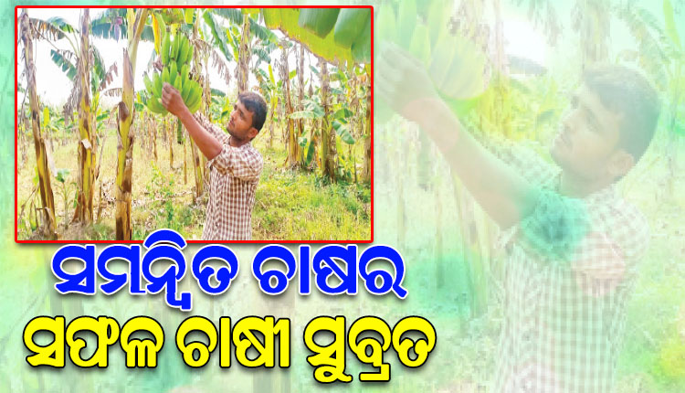 ସମନ୍ୱିତ ଚାଷ କରି ନିଜେ ଆର୍ଥିକ ସ୍ୱଚ୍ଛଳ ହେବା ସହ ଆଉ ୧୫ ଜଣଙ୍କୁ ରୋଜଗାର ଦେଇଛନ୍ତି ସୁବ୍ରତ