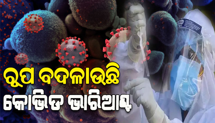 ରୂପ ବଦଳାଉଛି କୋଭିଡ ଭୁତାଣୁ; ମ୍ୟୁଟେଟ୍ ହେଉଛି XBB.1.16 ଭାରିଆଣ୍ଟ, ଭାରତରେ ଏପର୍ଯ୍ୟନ୍ତ ୧୧୩ ଜଣ ସଂକ୍ରମିତ