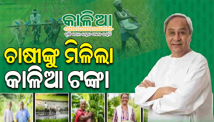 ଓଡ଼ିଶା ଦିବସରେ କାଳିଆ ସହାୟତା ପ୍ରଦାନ କଲେ ମୁଖ୍ୟମନ୍ତ୍ରୀ, ଉପକୃତ ହେଲେ ୪୩ ଲକ୍ଷରୁ ଅଧିକ ଚାଷୀ