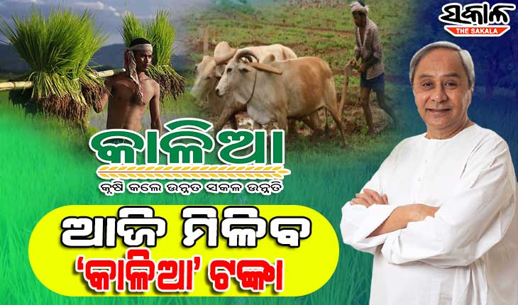 ଉତ୍କଳ ଦିବସ ଅବସରରେ ହିତାଧିକାରୀ ଚାଷୀଙ୍କୁ ଆଜି କାଳିଆ କିସ୍ତି ଅର୍ଥ ବଣ୍ଟନ କରିବେ ମୁଖ୍ୟମନ୍ତ୍ରୀ