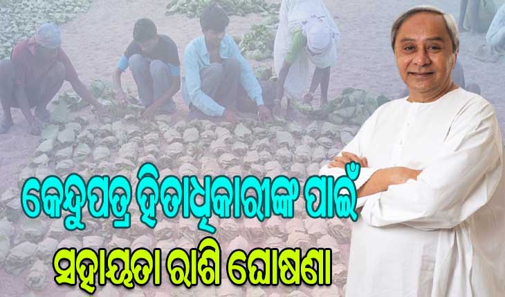 ଦ୍ବିତୀୟ ପର୍ଯ୍ୟାୟରେ କେନ୍ଦୁପତ୍ର ହିତାଧିକାରୀ ପାଇବେ ୧୧୧ କୋଟି ଟଙ୍କା ସହାୟତା, ଉପକୃତ ହେବେ ୮ ଲକ୍ଷରୁ ଅଧିକ ହିତାଧିକାରୀ