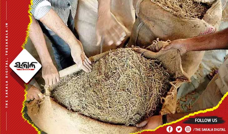 ଟ୍ରକରୁ ଜବତ ହେଲା ୫୦ଲକ୍ଷ ଟଙ୍କାର ଗଞ୍ଜେଇ, ମାଫିଆ ଫେରାର