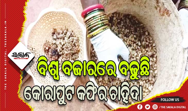 ବିଶ୍ବ ବଜାରରେ କୋରାପୁଟର ‘ସିବେଟ୍‌’ କଫି, ଗୋଟିଏ କପ୍‌ର ଦାମ୍ ୩ ହଜାର ୫ଶହ ଟଙ୍କା