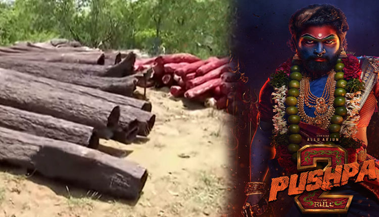 ପୁଷ୍ପା-୨ ଫିଲ୍ମ ସୁଟ୍ ପାଇଁ ମାଲକାନଗିରିରେ ପହଞ୍ଚିଲା ସୁଟିଂ ସେଟ