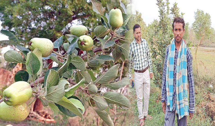 ୟୁଟ୍ୟୁବ୍‌ ଦେଖାଇଲା ରାସ୍ତା; କଳାହାଣ୍ଡିରେ ହିମାଚଳ ସେଓ