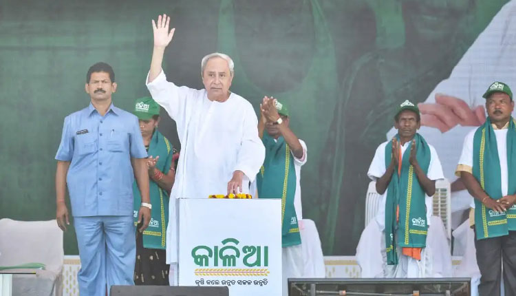 କୃଷି ଯୋଜନାର ସଫଳ ରୂପାୟନ ଦିଗରେ ବଳିଷ୍ଠ ପଦକ୍ଷେପ: ସବୁ ଜିଲ୍ଲାରେ ଖୋଲିବ ‘କାଳିଆ’ କେନ୍ଦ୍ର