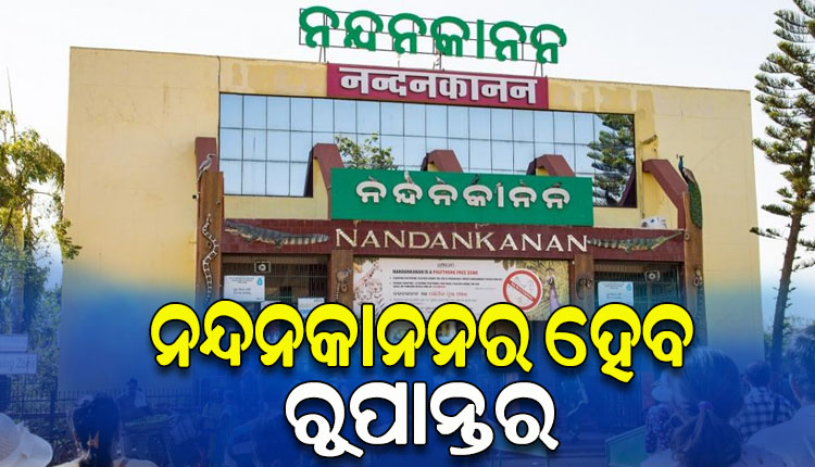 5T ଉପକ୍ରମରେ ନନ୍ଦନକାନନକୁ ଏକ ବିଶ୍ବସ୍ତରୀୟ ପ୍ରାଣୀ ଉଦ୍ୟାନ ଭାବେ ରୂପାନ୍ତର କରିବାକୁ ପ୍ରସ୍ତାବ