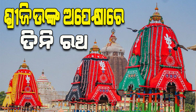 ରାତି ପାହିଲେ ମହାପ୍ରଭୁଙ୍କ ବିଶ୍ୱପ୍ରସିଦ୍ଧ ରଥଯାତ୍ରା; ସିଂହଦ୍ୱାର ସମ୍ମୁଖରେ ଶ୍ରୀଜିଉଙ୍କ ଅପେକ୍ଷାରେ ତିନି ରଥ