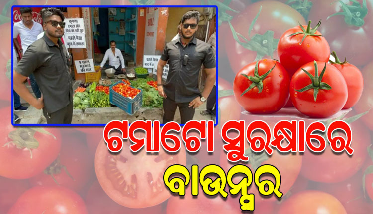 ଟମାଟୋର ସୁରକ୍ଷା ପାଇଁ ନିଯୁକ୍ତ ହେଲେ ବାଉନ୍ସର, ଟମାଟୋ ଛୁଇଁବାକୁ ଗ୍ରାହକଙ୍କୁ ମନା