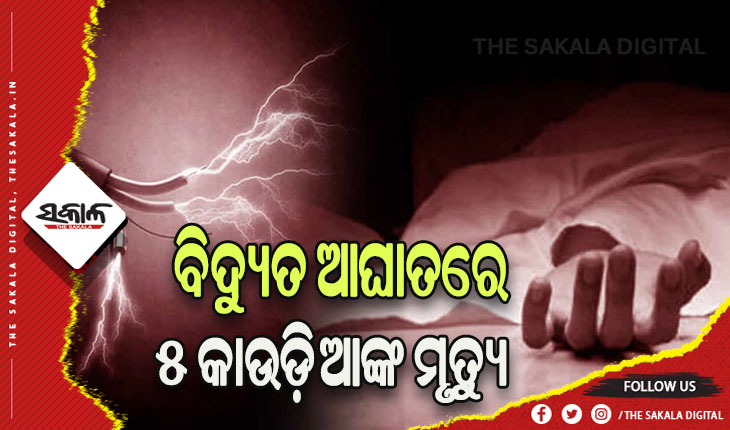 ବିଦ୍ୟୁତ ତାର ସଂସ୍ପର୍ଶରେ ଆସି ୫ କାଉଡିଆଙ୍କ ମୃତ୍ୟୁ, ୫ ଗୁରୁତର