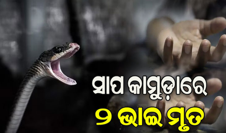 ଶୋଇଥିବାବେଳେ ସାପ କାମୁଡ଼ାରେ ଦୁଇ ଭାଇ ମୃତ