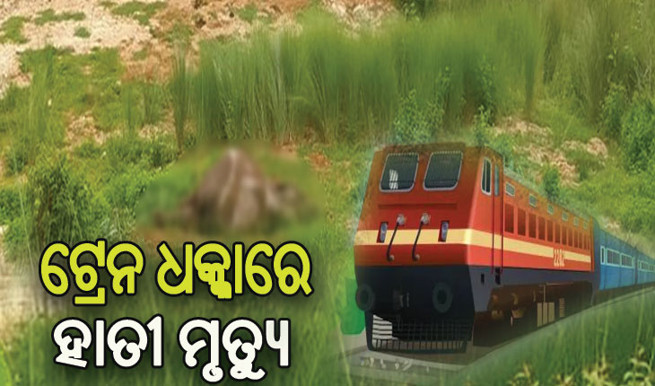 ଟ୍ରେନ ଧକ୍କାରେ ୨ ହାତୀ ମୃତ, ୧ ଗୁରୁତର