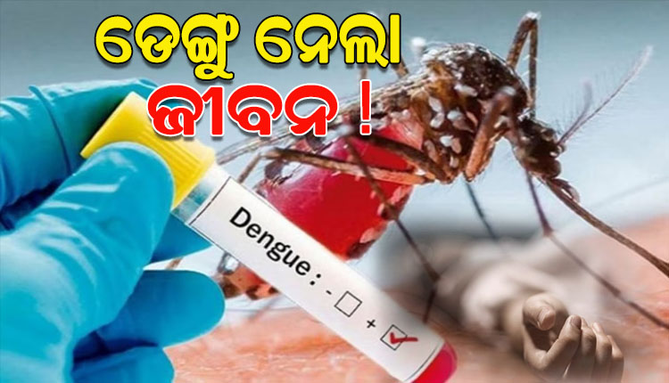 ରାଜଧାନୀରେ ଚଳିତବର୍ଷର ପ୍ରଥମ ଜୀବନ ନେଲା ଡେଙ୍ଗୁ ! ୭ ବର୍ଷ ବାଳିକାର ମୃତ୍ୟୁ ଅଭିଯୋଗ