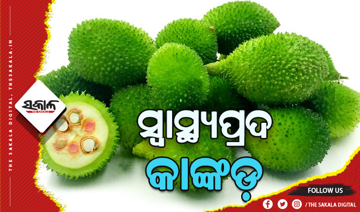 ସ୍ବାସ୍ଥ୍ୟ ପାଇଁ ଲାଭଦାୟକ କାଙ୍କଡ଼, ରହିଛି ଅନକ ପ୍ରକାର ଔଷଧୀୟ ଗୁଣ