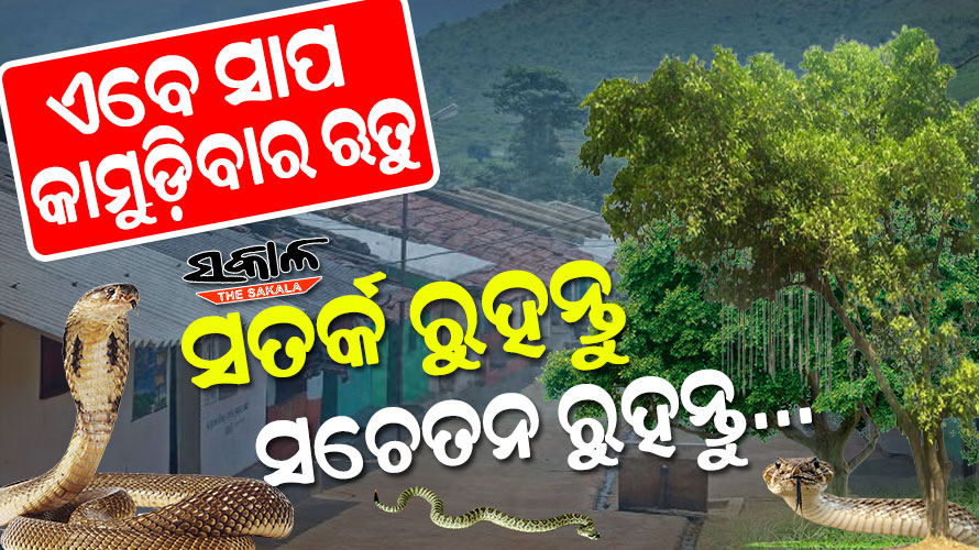 ସର୍ପାଘାତ ମୃତ୍ୟୁ ରୋକିବାକୁ ଜନସ୍ୱାସ୍ଥ୍ୟ ବିଭାଗର ଗାଇଡଲାଇନ, ସମସ୍ତ ସ୍ୱାସ୍ଥ୍ୟକେନ୍ଦ୍ରରେ ଆଣ୍ଟିଭେନମ୍ ମହଜୁଦ ରଖିବାକୁ ସିଡିଏମ୍‌ଓଙ୍କୁ ନିର୍ଦ୍ଦେଶ