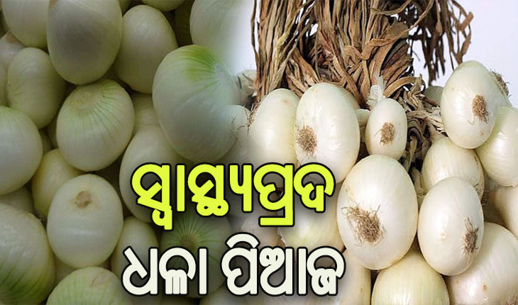 ଧଳା ପିଆଜ ଦୂର କରେ ବିଭିନ୍ନ ସ୍ବାସ୍ଥ୍ୟ ସମସ୍ୟା