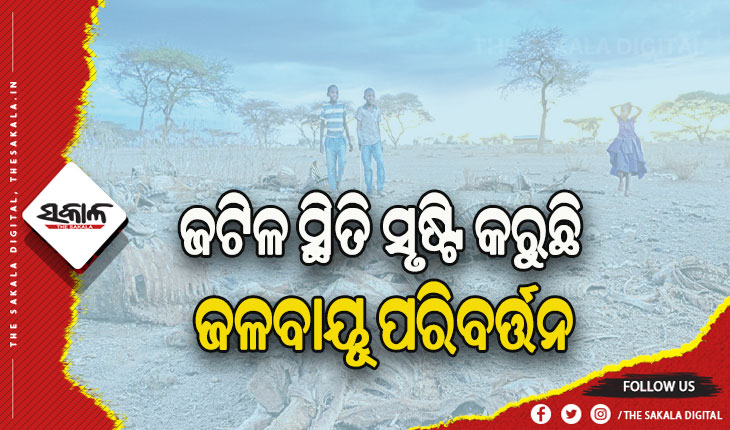 ଜଟିଳ ସ୍ଥିତି ସୃଷ୍ଟି କରୁଛି ଜଳବାୟୂ ପରିବର୍ତ୍ତନ, ତାପମାତ୍ରା ବୃଦ୍ଧି ଯୋଗୁଁ ପଶୁପକ୍ଷୀ ଅବସାଦଗ୍ରସ୍ତ