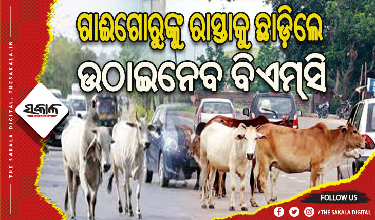 ଗାଈଗୋରୁଙ୍କୁ ରାସ୍ତାକୁ ଛାଡ଼ିଲେ ଉଠାଇନେବ ବିଏମ୍‌‌ସି