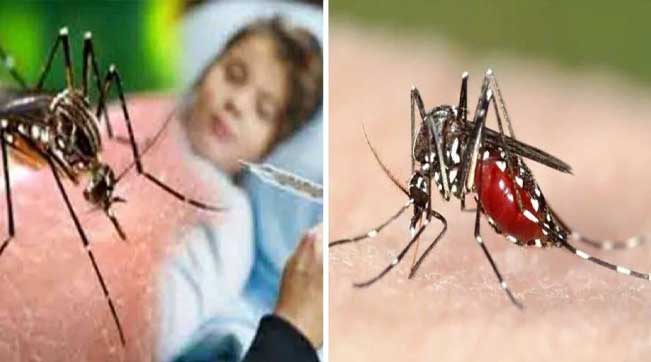 ରାସଗୋବିନ୍ଦପୁରରେ ଡେଙ୍ଗୁ ଆତଙ୍କ: ଜଣେ ମୃତ, ୧୦ରୁ ଉର୍ଦ୍ଧ୍ଵ ଆକ୍ରାନ୍ତ