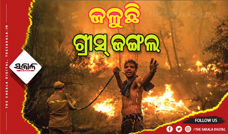 ଜଳୁଛି ଗ୍ରୀସ୍ ଜଙ୍ଗଲ, ୨୦ ପ୍ରବାସୀ ନାଗରିକଙ୍କ ମୃତ୍ୟୁ