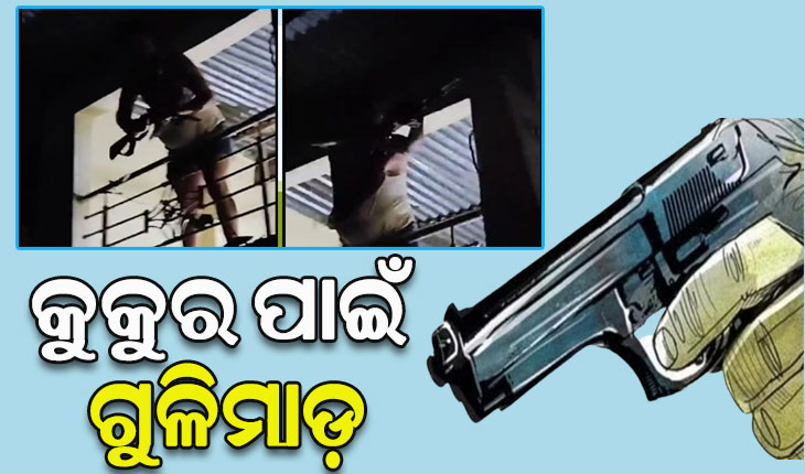 ପୋଷା କୁକୁର ପାଇଁ ଗୁଳିମାଡ଼: ୨ ମୃତ, ୬ ଆହତ