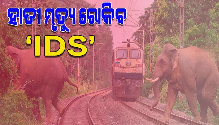 ରେଳ ଧକ୍କାରୁ ହାତୀଙ୍କୁ ସୁରକ୍ଷା ଦେବ ଆଇଡିଏସ୍‌‌, ଟ୍ରାକକୁ ଆସୁଥିବା ବଣୁଆ ହାତୀକୁ ଚିହ୍ନଟ କରି ଅଧିକାରୀଙ୍କୁ କରାଇବ ସତର୍କ