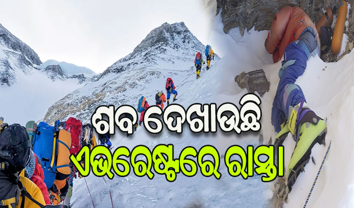 ନୂଆ ପର୍ବତାରୋହୀଙ୍କୁ ଶବ ଦେଖାଉଛି ଏଭରେଷ୍ଟରେ ରାସ୍ତା