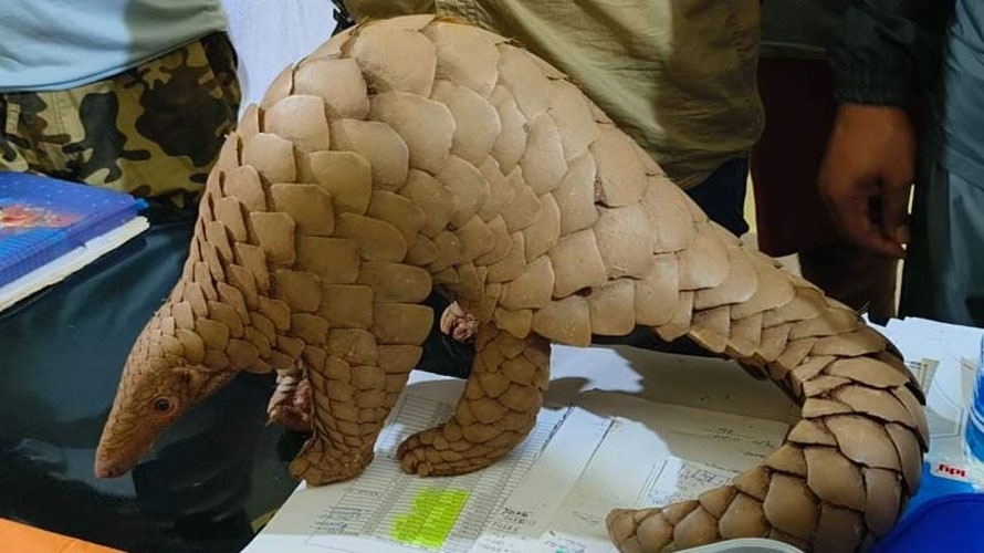 ବଜ୍ରକାପ୍ତା ଉଦ୍ଧାର : ୮ଗିରଫ, ବୋଲେରୋ, ସ୍କୁଟି ଓ ୮ ମୋବାଇଲ ଫୋନ ଜବତ