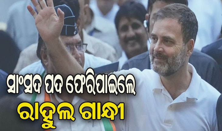 ଲୋକସଭା ସାଂସଦ ପଦ ଫେରିପାଇଲେ ରାହୁଲ ଗାନ୍ଧୀ