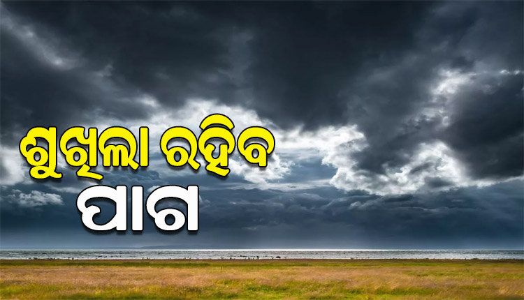 ଆଜିଠୁ ରାଜ୍ୟରେ କମିବ ବର୍ଷାର ପ୍ରଭାବ, ଆଗାମୀ ୩ରୁ ୪ଦିନ ପାଗ ରହିବ ଶୁଖିଲା