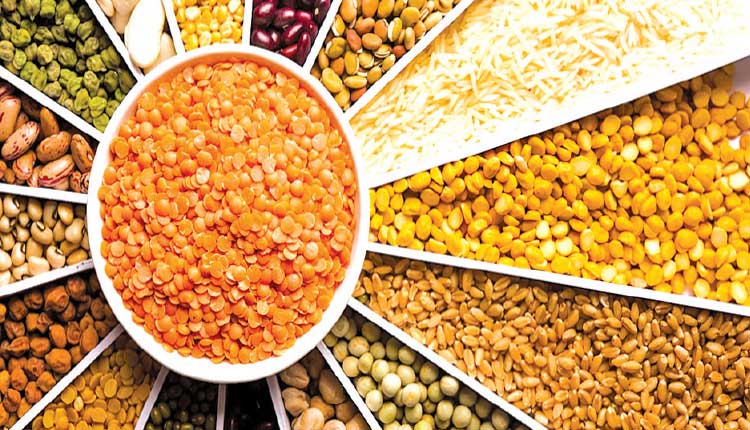 ହରଡ଼ ଡାଲି ଦୁଇ ଶହ ଛୁଇଁବ