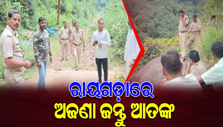 ରାୟଗଡ଼ା ଜିଲ୍ଲାରେ ଅଜଣା ଜନ୍ତୁ ଆତଙ୍କ, ଆକ୍ରମଣରେ ୩୦ ଛେଳି ମୃତ