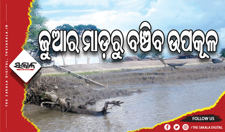 ରାଜ୍ୟସରକାର ନିର୍ମାଣ କରିବେ ବାତ୍ୟା ପ୍ରତିରୋଧୀ ଲୁଣାବନ୍ଧ, ଜୁଆର ମାଡ଼ରୁ ବଞ୍ଚିବ ଉପକୂଳ