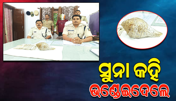 ନକଲି ସୁନାଶଙ୍ଖକୁ ଅସଲି କହି ୫ ଲକ୍ଷରେ ବିକିଦେଲେ ଦଲାଲ, ଜଣେ ଗିରଫ