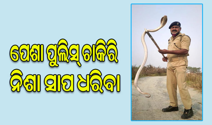ଶତାଧିକ ସାପ ଧରି ଚର୍ଚ୍ଚାରେ ପୁଲିସ୍ ବାବୁ, ସାପ ବାହାରିଛି ଖବର ପାଇଲେ ପହଞ୍ଚି ଯାଆନ୍ତି ନିଜ ସରଞ୍ଜାମ ଧରି ….