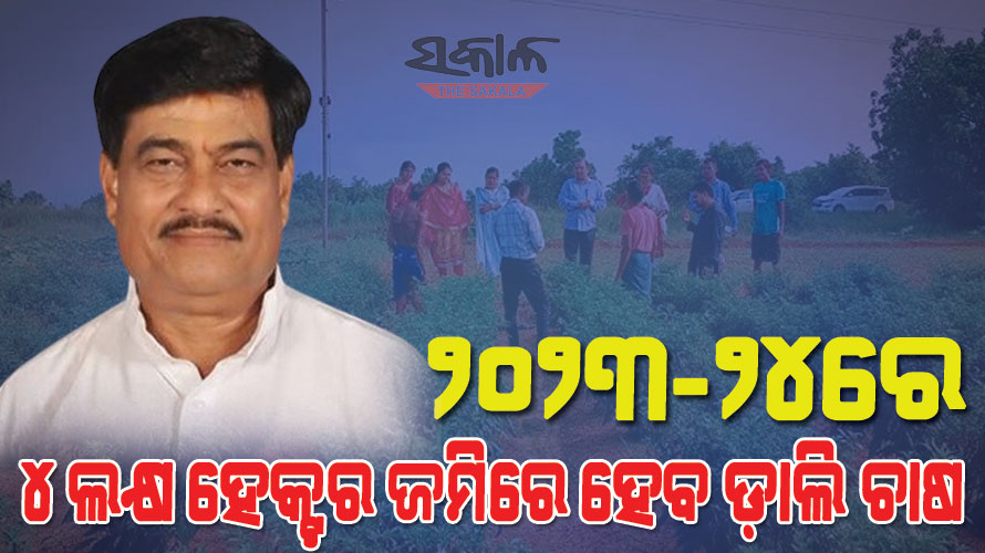 ଡାଲି ଚାଷକୁ ରାଜ୍ୟ ସରକାରଙ୍କ ଗୁରୁତ୍ୱ : ୫୦ ପ୍ରତିଶତ ରିହାତିରେ କୀଟନାଶକ ଯୋଗାଇ ଦେଉଛନ୍ତି ସରକାର