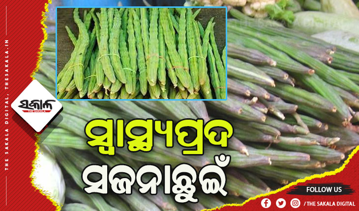 ସ୍ବାସ୍ଥ୍ୟ ପାଇଁ ଲାଭଦାୟକ ସଜନାଛୁଇଁ…..