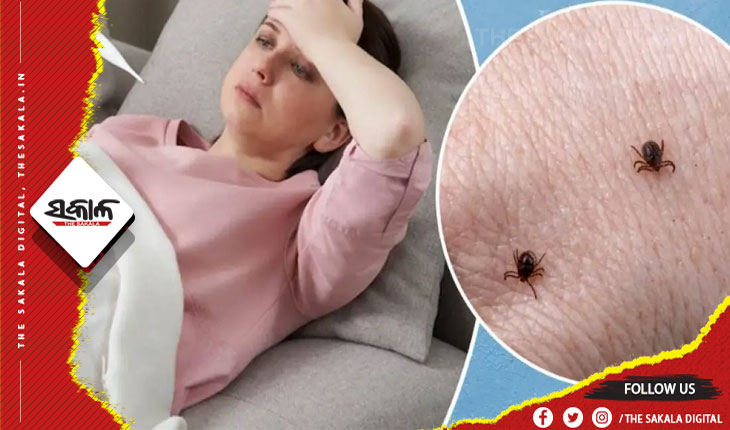 ସ୍କ୍ରବ୍‌‌ ଟାଇଫସ୍‌‌ ପାଇଁ ସଜାଗ ରହିବାକୁ ସ୍ୱାସ୍ଥ୍ୟ ବିଭାଗର ନିର୍ଦ୍ଦେଶ