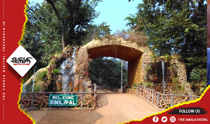 ଶିମିଳିପାଳ ଅଞ୍ଚଳରୁ କଲରାପତରିଆ ବାଘଛାଲ ଜବତ, ୨ଅଟକ