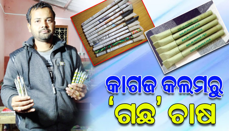 କାଗଜ ପେନ୍‌‌ ଆଉ ପେନସିଲରୁ ଉଠୁଛି ଗଛ